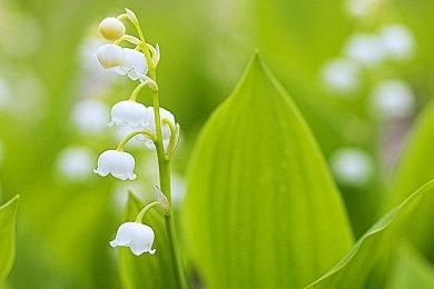 Meta新游戏画风低劣因群嘲 扎克伯格称将尽快优化